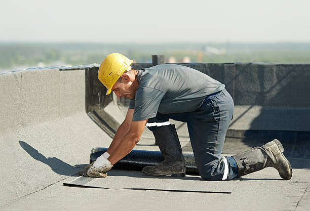 Best Geographic-Specific Insulation Services in Port Angeles, WA