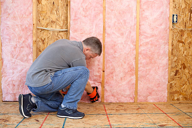 Best Residential Insulation in Port Angeles, WA