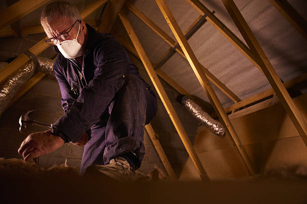 Best Eco-Friendly Insulation in Port Angeles, WA